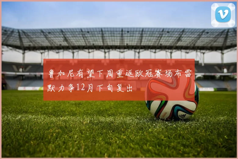 鲁加尼有望下周重返欧冠赛场布雷默力争12月下旬复出