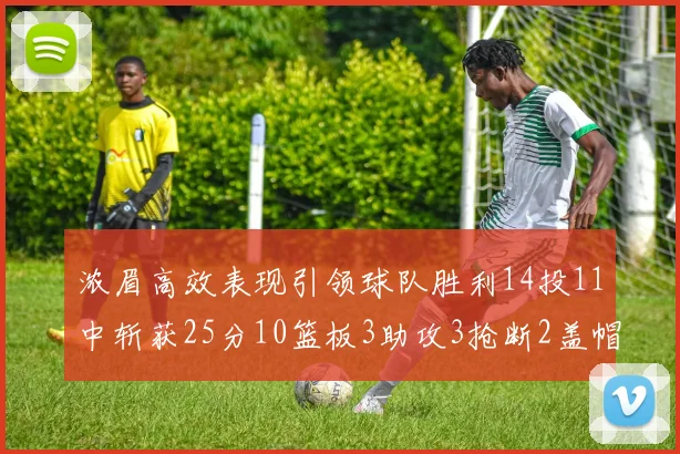 浓眉高效表现引领球队胜利14投11中斩获25分10篮板3助攻3抢断2盖帽