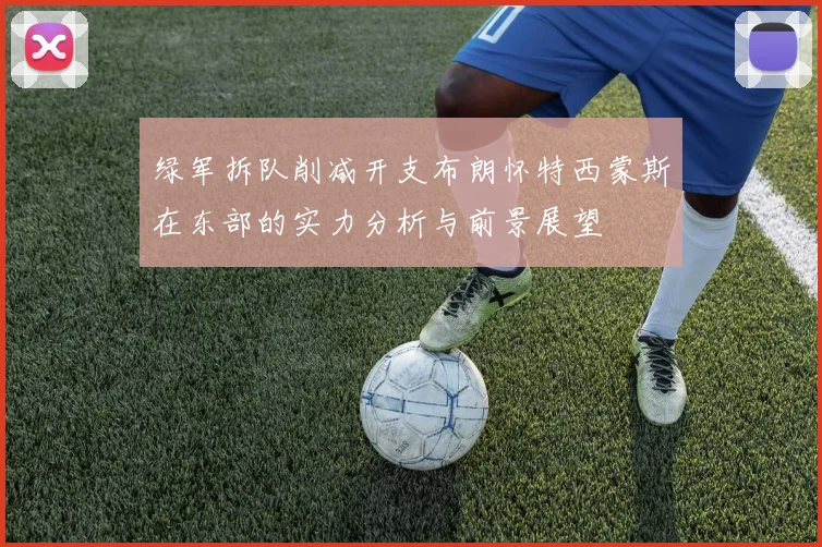 绿军拆队削减开支布朗怀特西蒙斯在东部的实力分析与前景展望